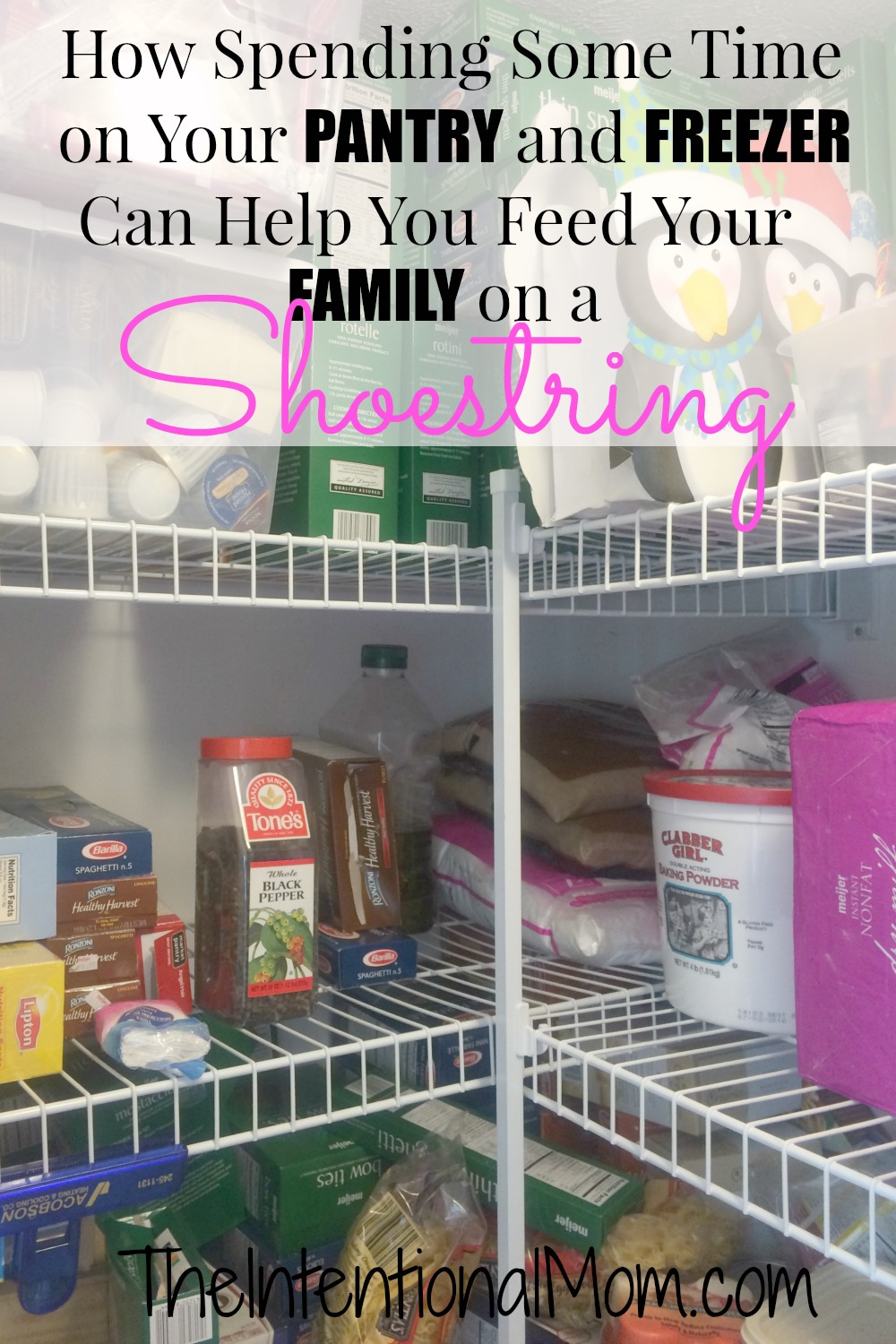 feed your family on a shoestring