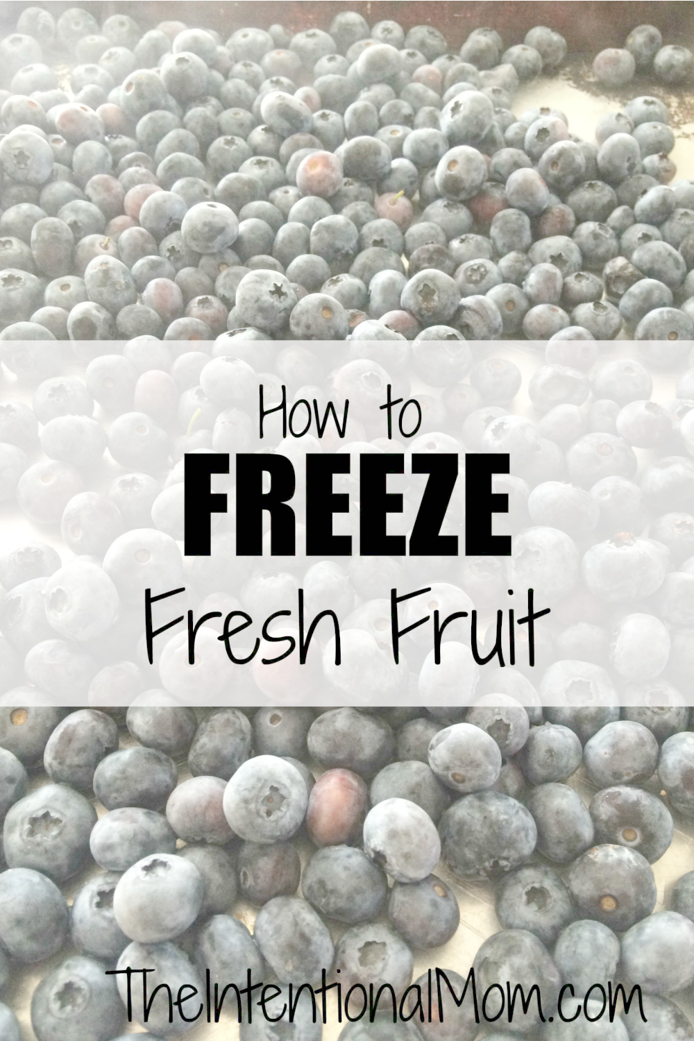 How to Freeze Fresh Fruit