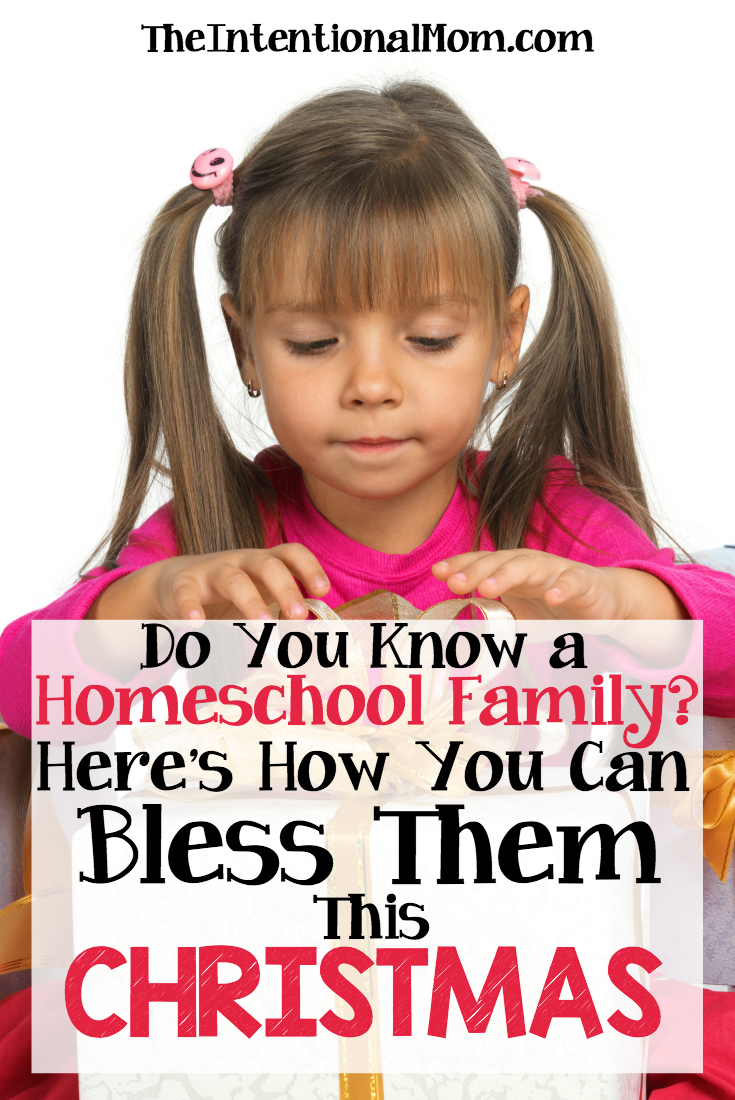 Do You Know a Homeschooling Family? Here Are Some Inexpensive Ways to Bless Them This Christmas