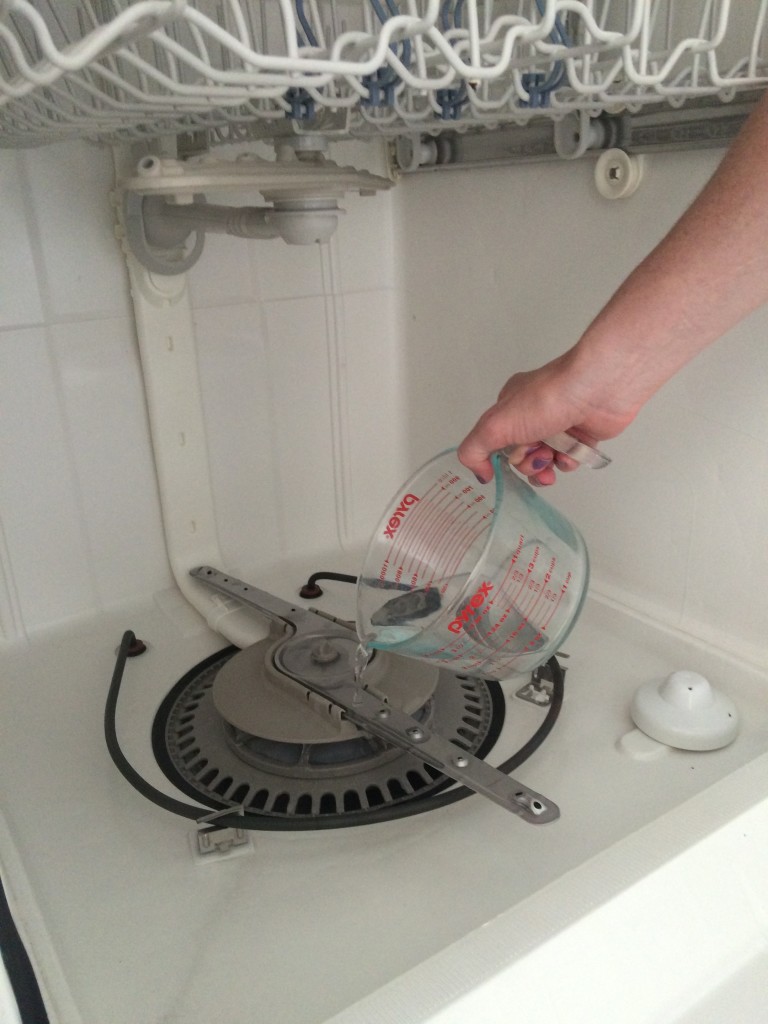 How to Clean Your Dishwasher It's Super Easy!