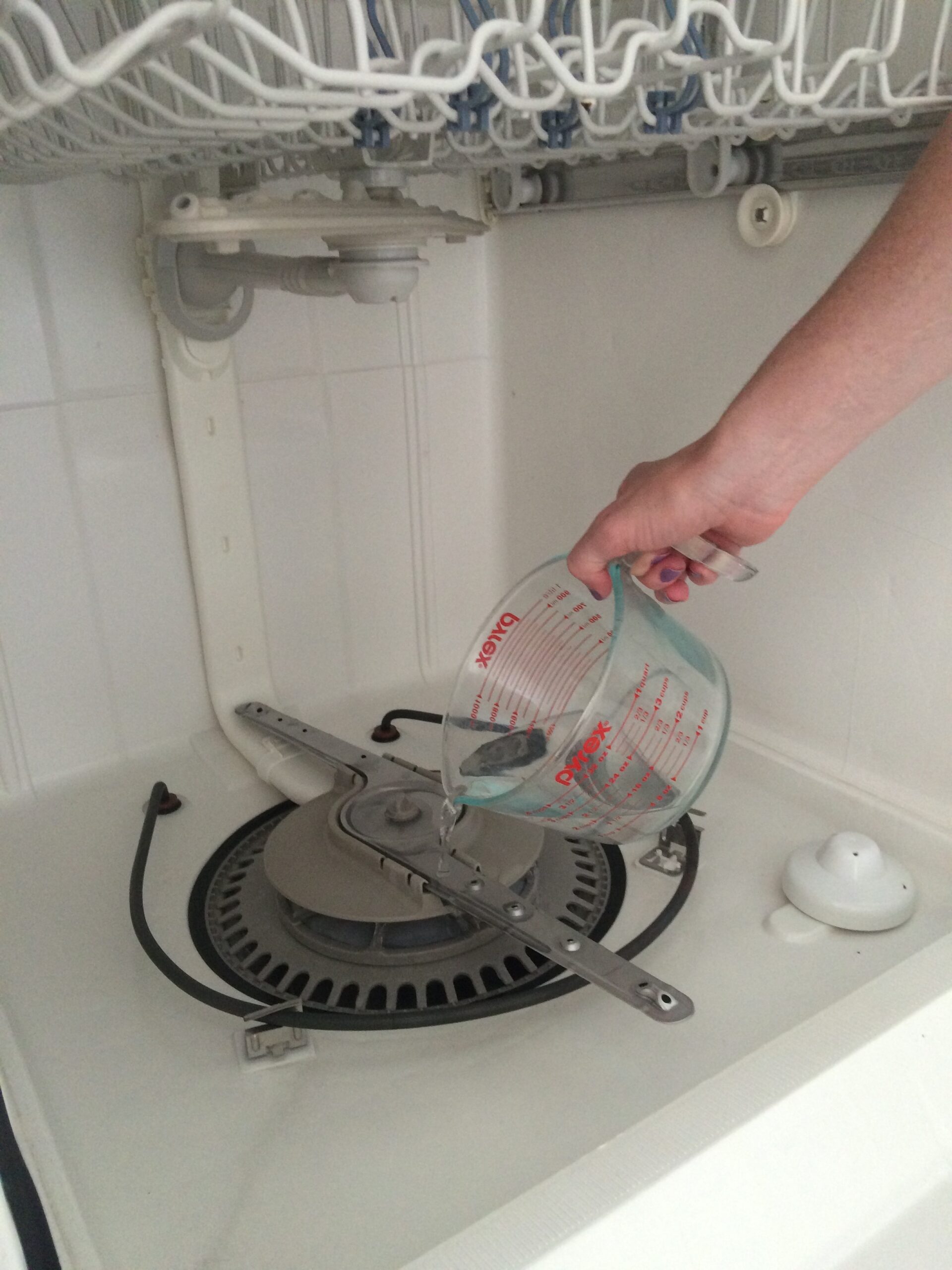 How to Clean Your Dishwasher It's Super Easy!