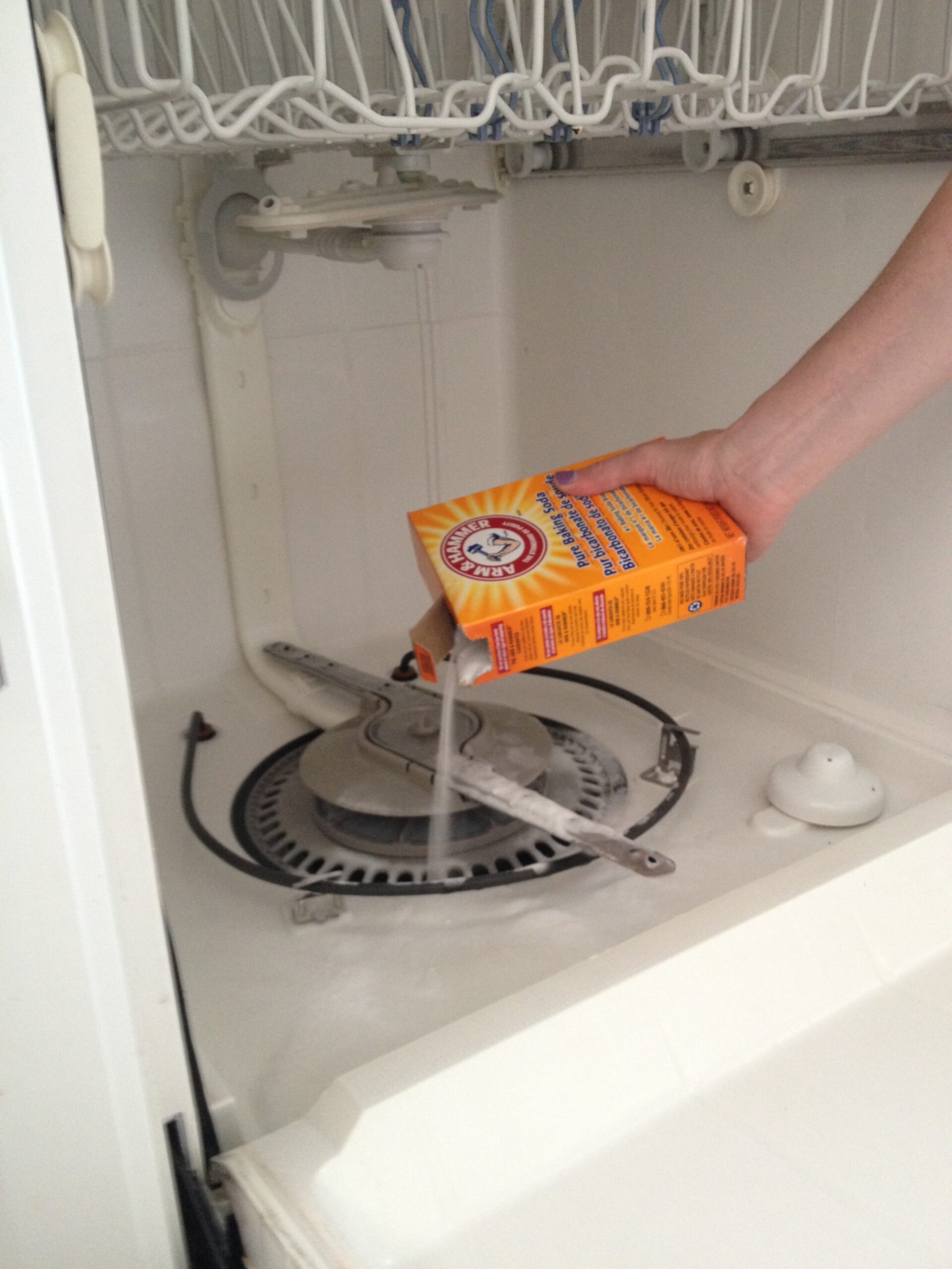 How to Clean Your Dishwasher It's Super Easy!