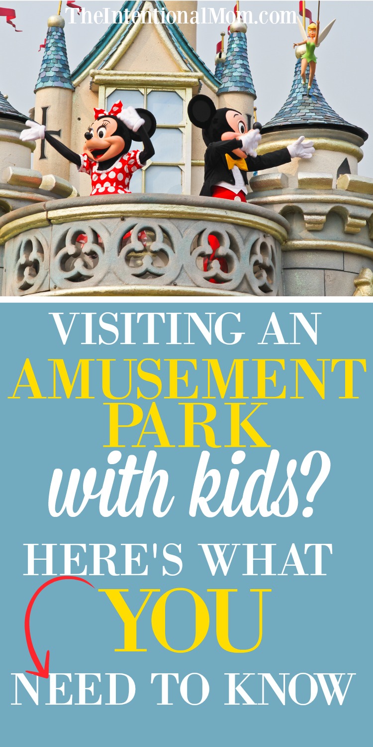 amusement park tips